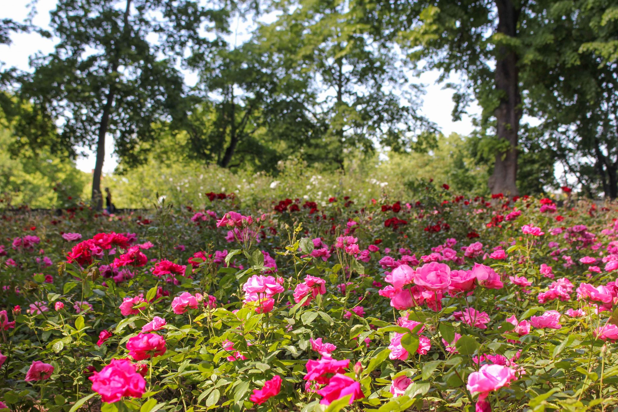 37+ Garten In Der Nähe Wörth, Wie finde ich den besten gartenbau &amp;