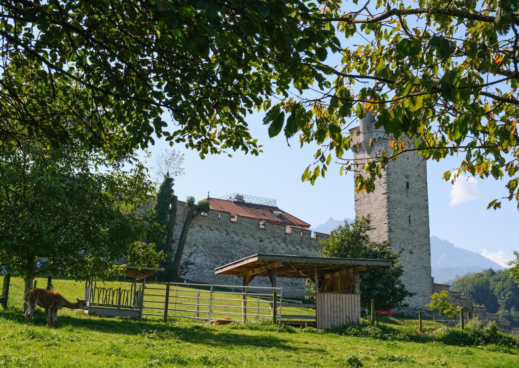 Kulturhof Hinter Musegg