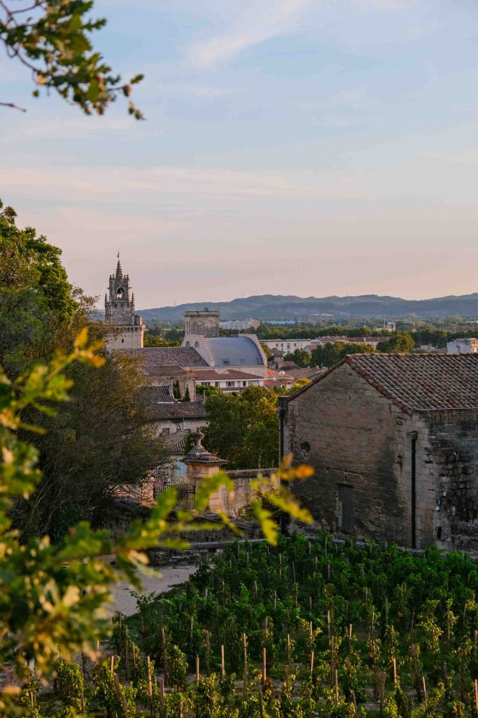 Sonnenuntergang Avignon