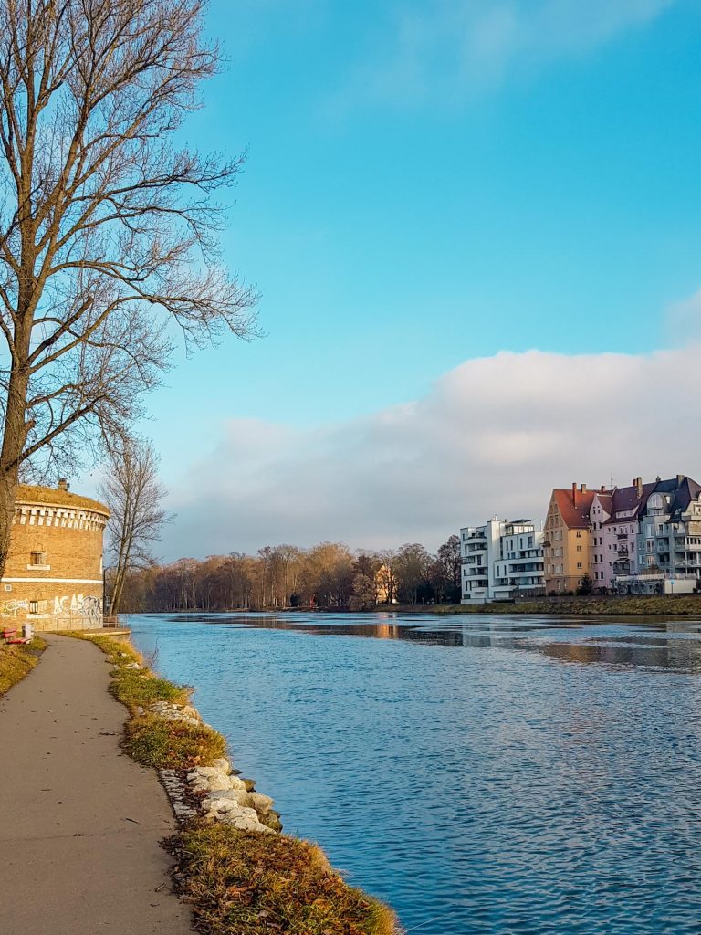 Die Donau in Ulm