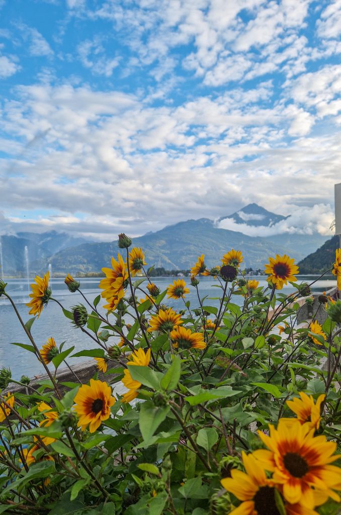 Perfektes Urlaubsziel im Sommer: Zell am See