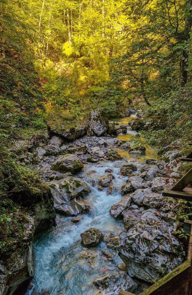 Tolles Lichtspiel in der Seisenbergklamm am Morgen