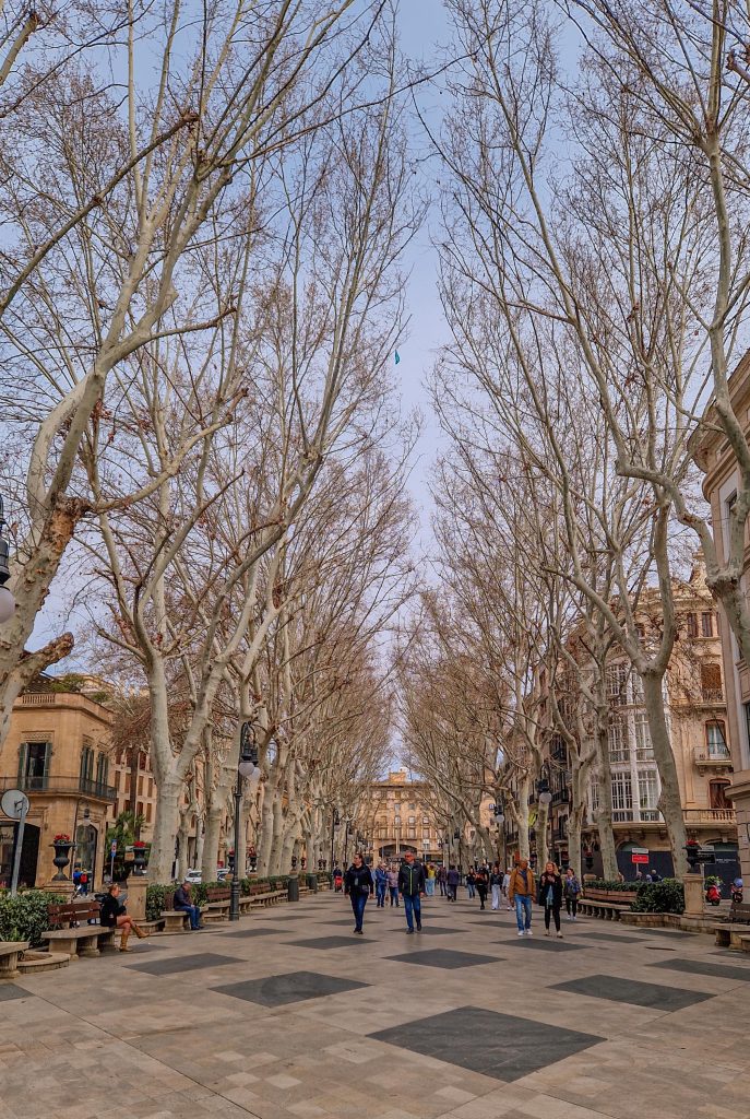 Die schönste Straße von Palma Passeig del Born