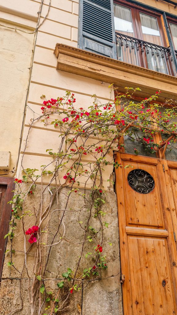 Palma im Frühling lohnt sich