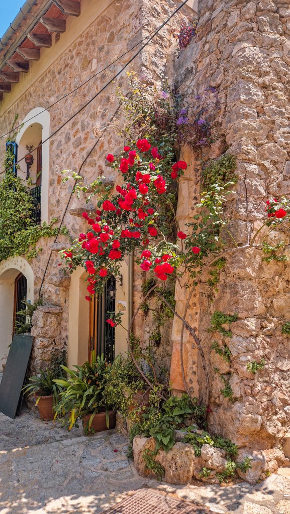 Tagsesausflug Valldemossa und Bergdörfer Mallorca