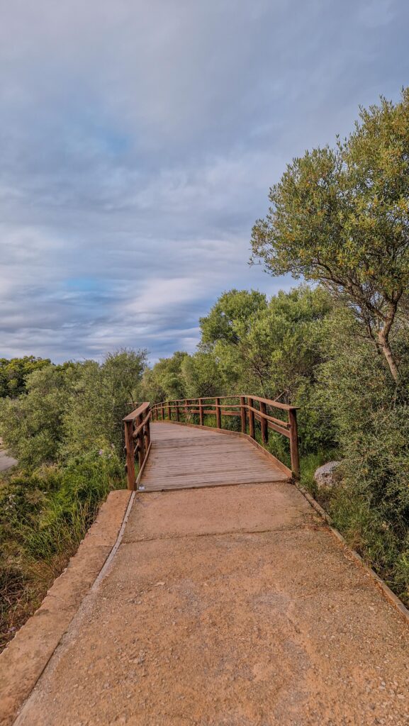 Spaziergang an den Strand Portocolom