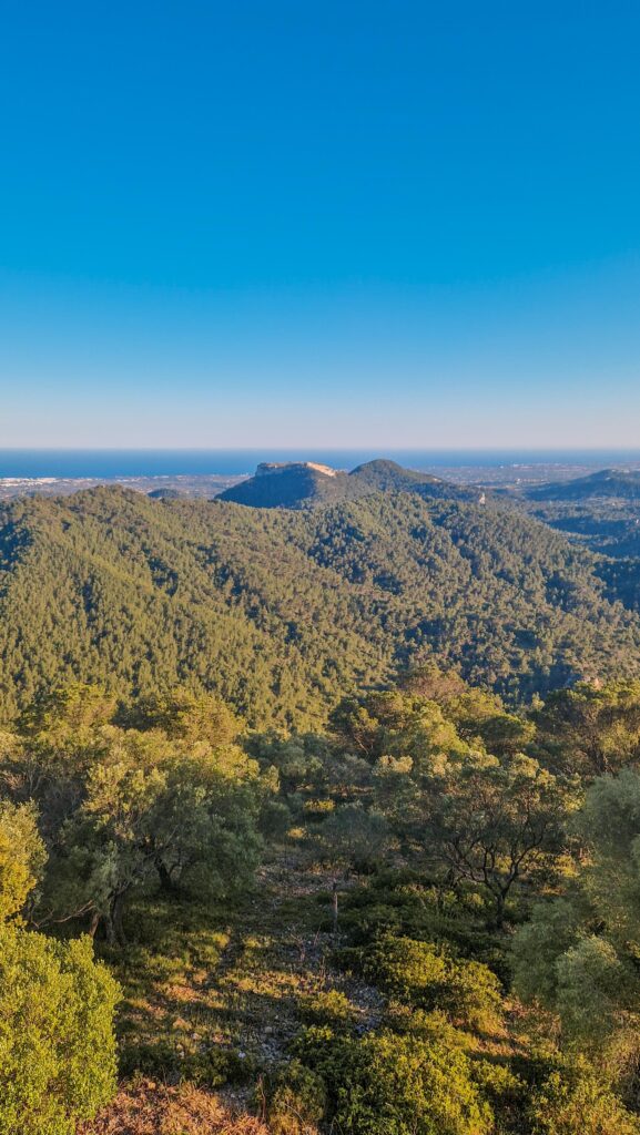 Ausblick über die Landschaft Mallorcas