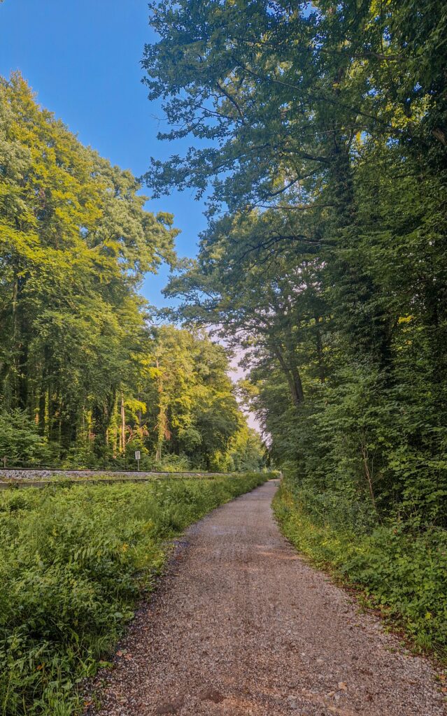 Fahrradtour entlang des Ammersees durch schöne Waldstücke