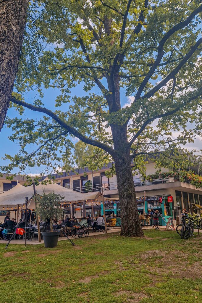 Restaurant am Wasser mit Seeblick Ammersee