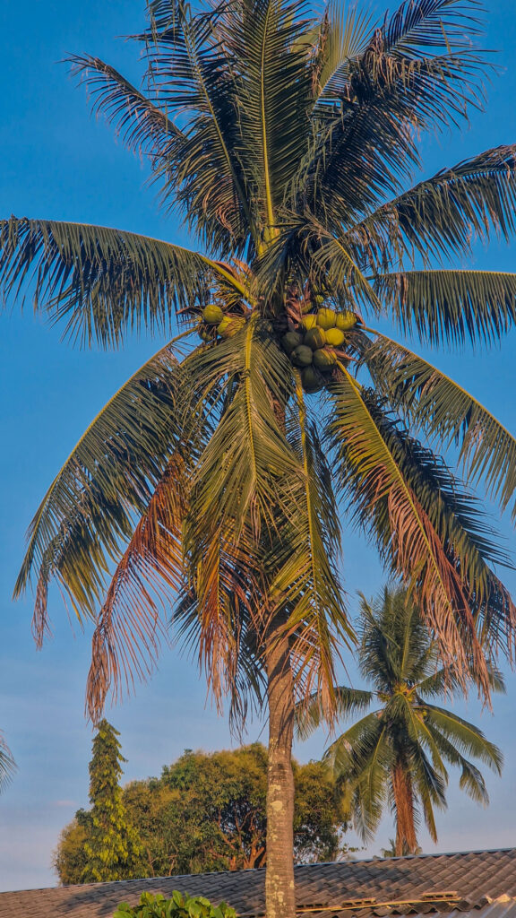 Highlights auf Koh Mook