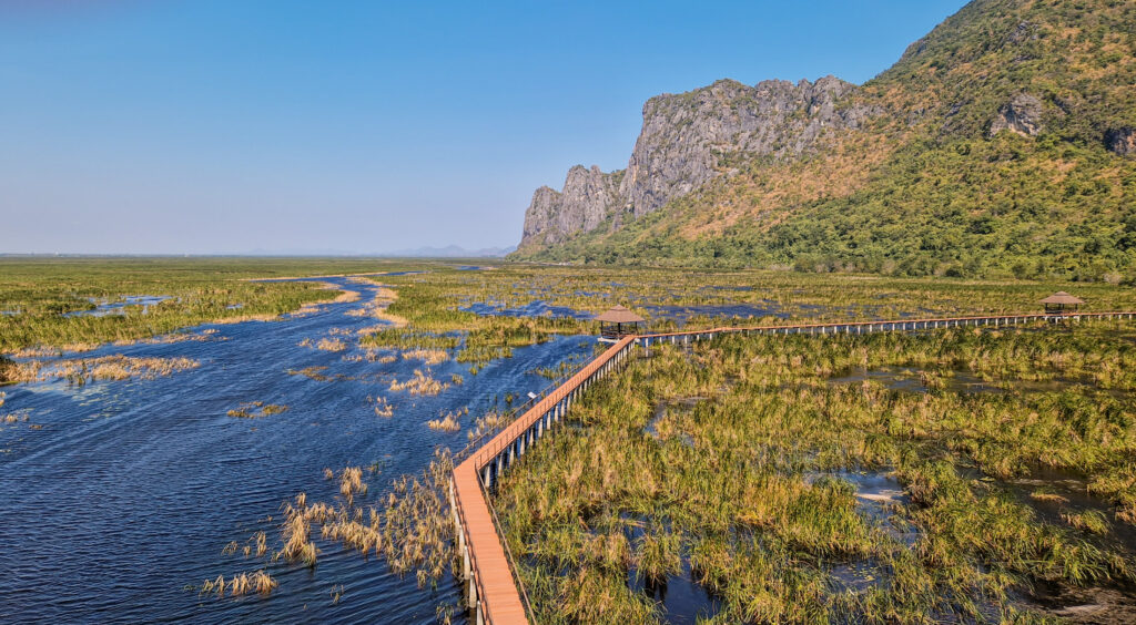 Bueng Bua Wood Boardwalk im Khao Sam roi yot Nationalpark