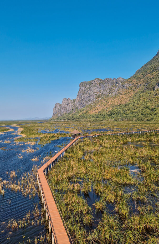 Bueng Bua Wood Boardwalk ist ein Highlight in der Nähe von Hua Hin