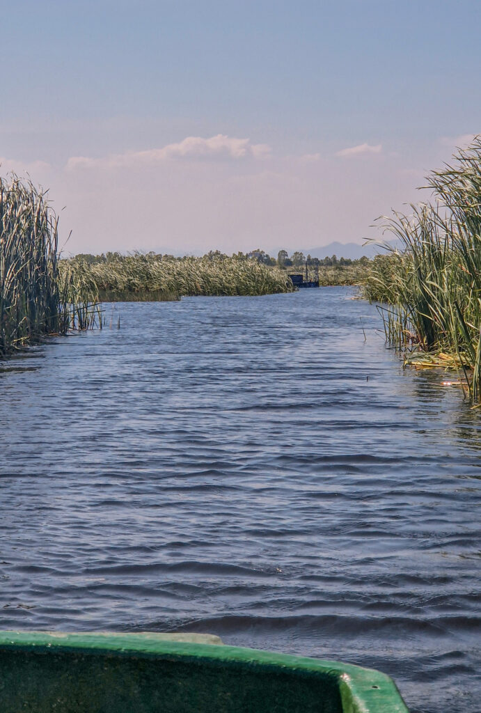 khao sam roi yot bootsfahrt durch Mangroven und Lotusblumen im Januar