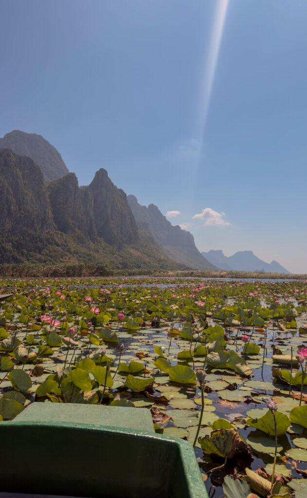 Bootsfahrt durch Lotusblumen im Nationalpark Khao Sam Roi Yot