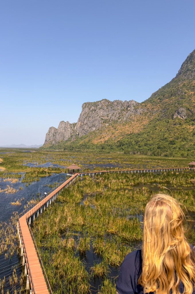 Ausblick auf den Bueng Bua Wood Boardwalk ein absolutes Highlight im Nationalpark, das du sehen musst