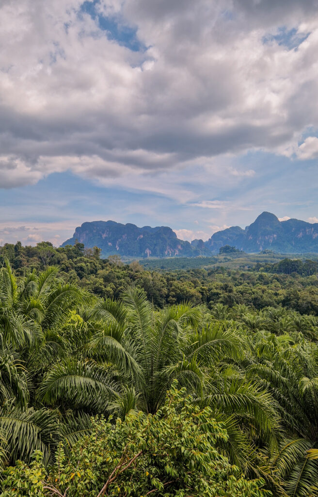 Ausflugstipps in Krabi: Das versteckte Kuan Nom Saow Restaurant and Viewpoint